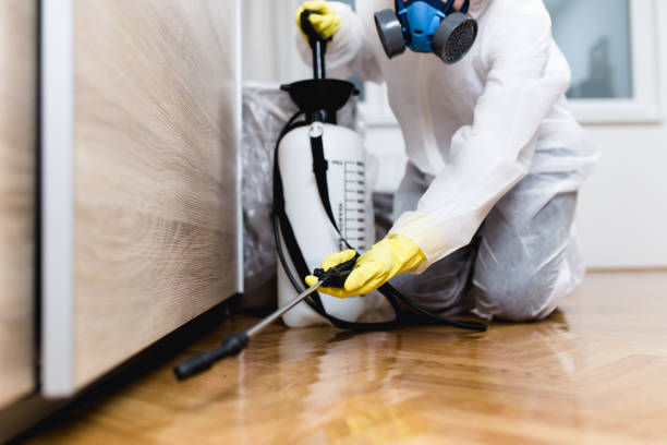 Flea Control Services in Greene, IA