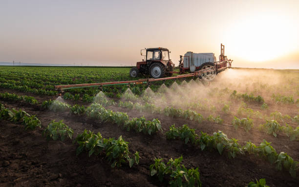 Best Best Pest Control Companies  in Greene, IA