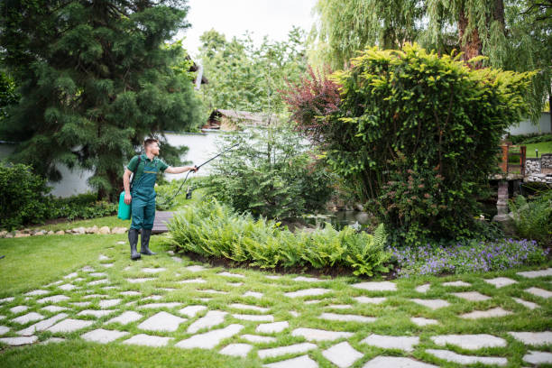 Best Mosquito Control Services  in Greene, IA