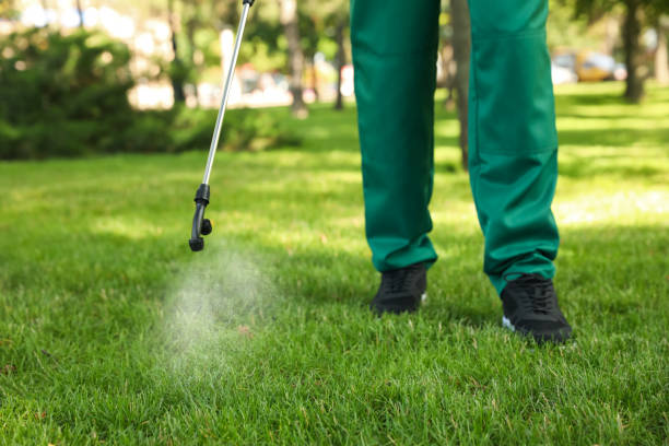 Best Affordable Pest Control Services  in Greene, IA