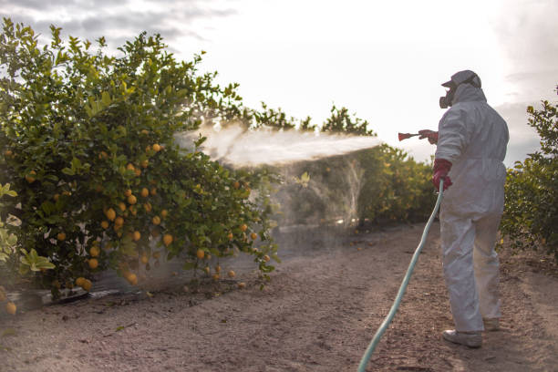 Best Emergency Pest Control  in Greene, IA