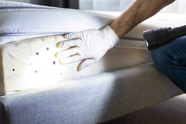 Pest Control for Restaurants in Greene, IA