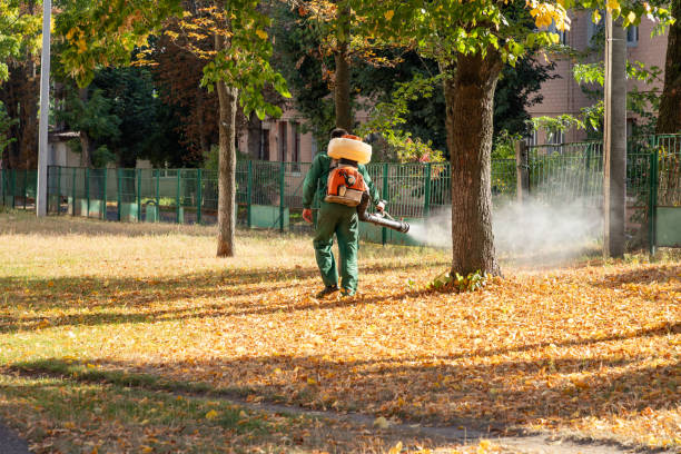 Best Cockroach Control Services  in Greene, IA