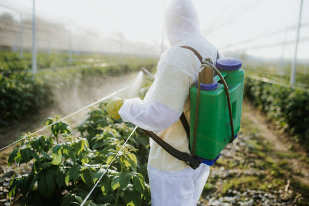 Best Best Pest Control Companies  in Greene, IA